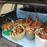 Farm stay Gawra Chorzepowo Puszcza Notecka