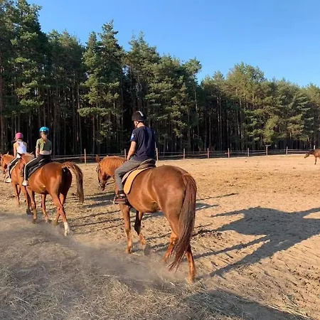 Gawra Chorzepowo Puszcza Notecka