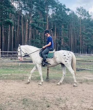 Agroturystyka Gawra Chorzępowo Sieraków Puszcza Notecka Gospodarstwo agroturystyczne Sierakow (Greater Poland)