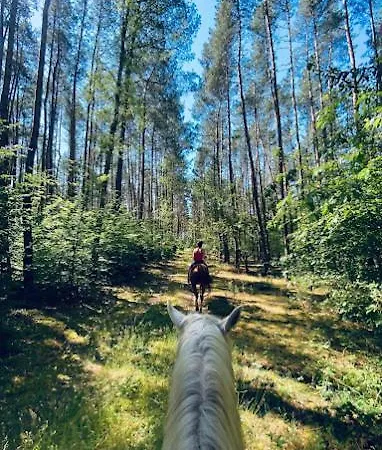 Agroturystyka Gawra Chorzępowo Sieraków Puszcza Notecka