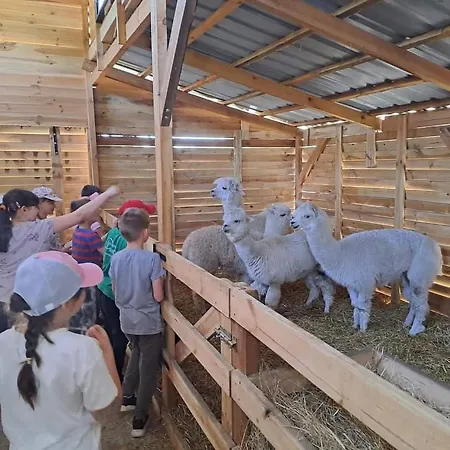 Gawra Chorzepowo Puszcza Notecka Farm stay *