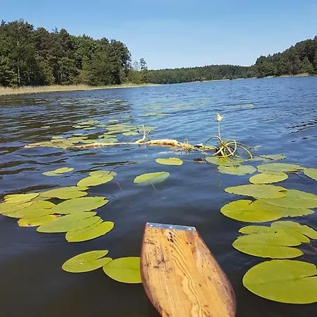 Agroturystyka Gawra Chorzępowo Sieraków Puszcza Notecka Sierakow (Greater Poland)