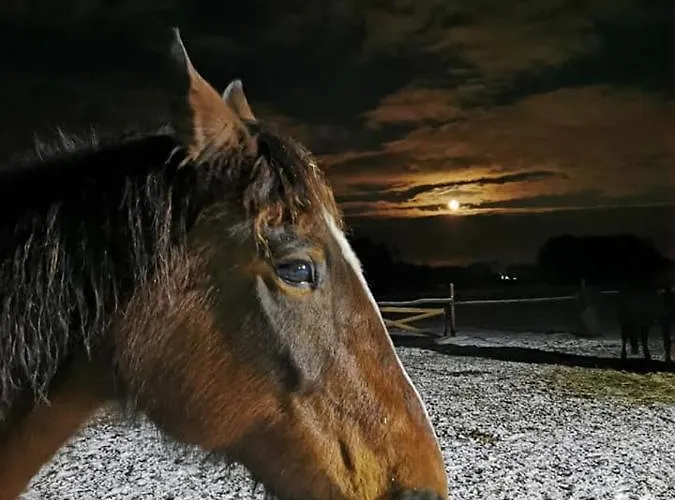 Gawra Chorzepowo Puszcza Notecka * Sierakow (Greater Poland)
