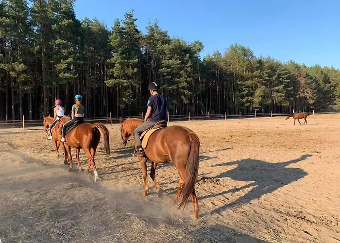 Gawra Chorzepowo Puszcza Notecka
