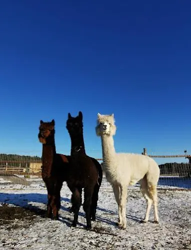 Gawra Chorzepowo Puszcza Notecka