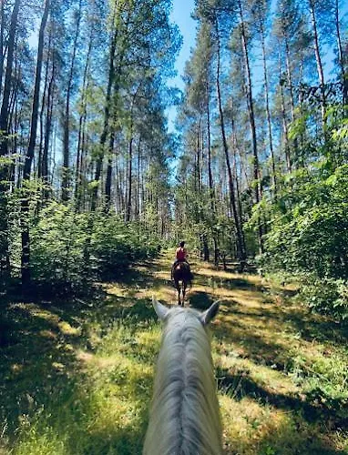 Gawra Chorzepowo Puszcza Notecka
