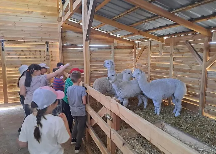 Gawra Chorzepowo Puszcza Notecka Farm stay *