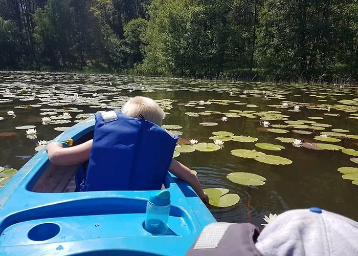 Фермерский дом Gawra Chorzepowo Puszcza Notecka Серакув