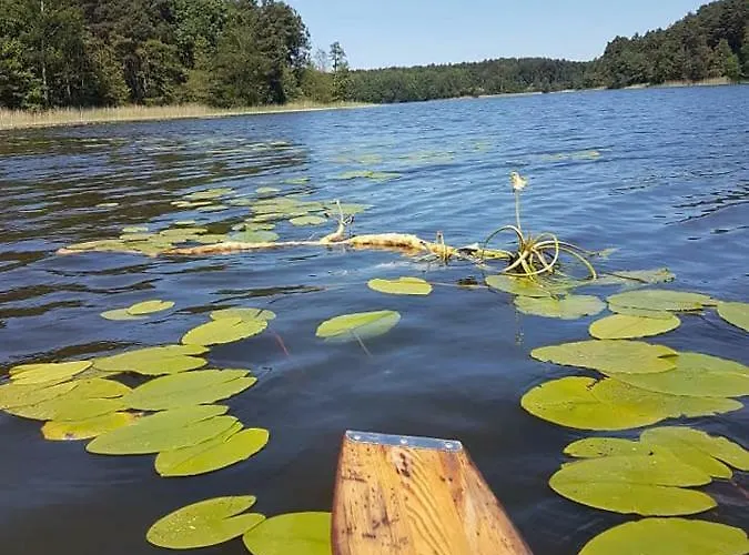 Gawra Chorzepowo Puszcza Notecka Sierakow (Greater Poland)